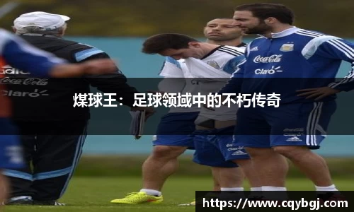 BB贝博艾弗森官方网站